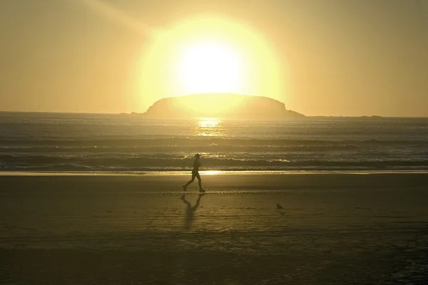 stock image Woman Running on the Beach in the Morning