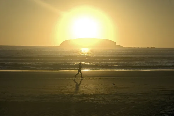 早上在海滩上跑步的女人 图库图片