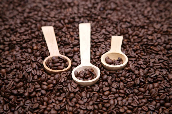 3 koffie lepels op de bonen — Stockfoto