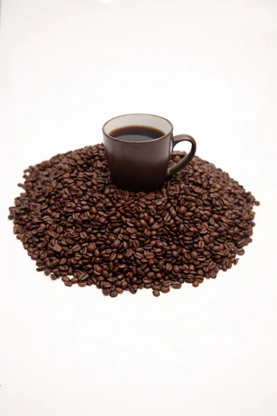 Cangkir di biji kopi — Stok Foto