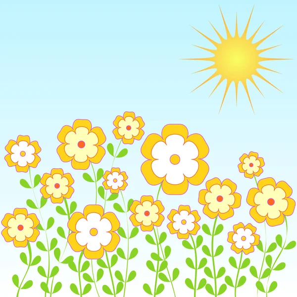 Flori de vară — Fotografie, imagine de stoc