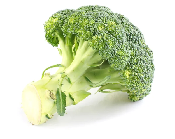 Broccoli branch — Stockfoto