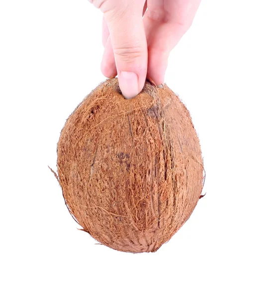 손에 코코넛 — 스톡 사진