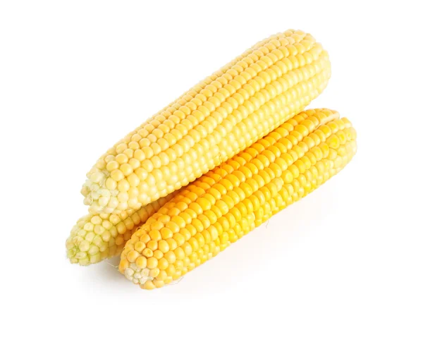 Yellow ear of corn — Stock Photo, Image