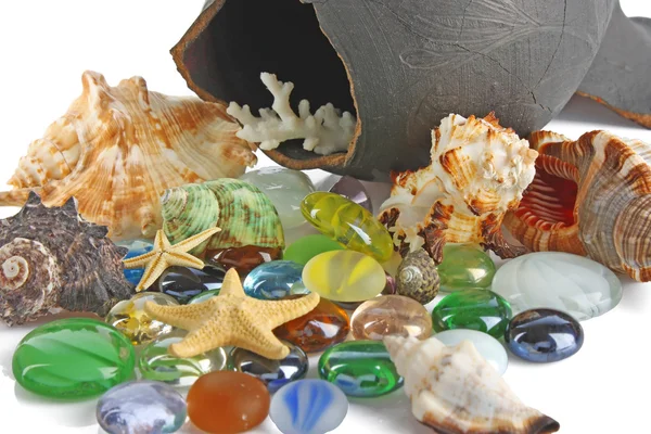 stock image Seashells and stones background