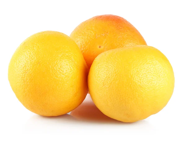 Three grapefruits — Stock Photo, Image