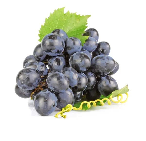 Blue grapes — Stock Photo, Image