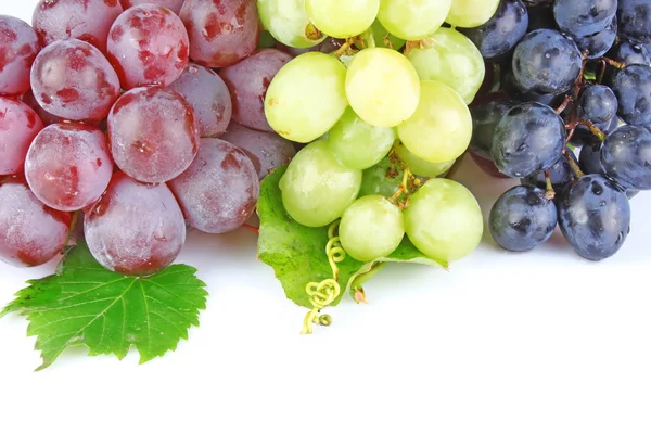 Grapes background Stock Picture