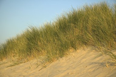 Dunes