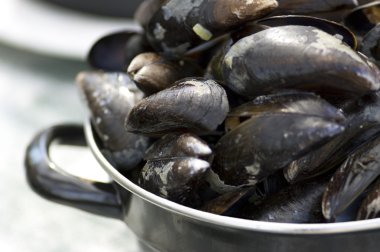 Dutch Mussels clipart