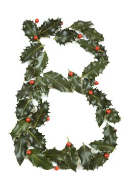 Holly With Berry Letter B clipart