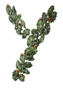 Holly With Berry Letter Y clipart