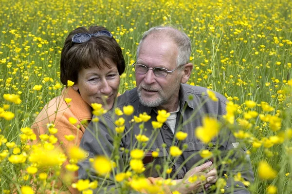 Senior couple in a buttercup field — Stock Photo, Image