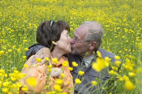 Kissing In The Field — Stock Photo, Image