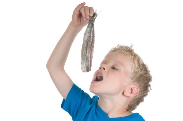 Eating a herring the Dutch way — Stock Photo, Image