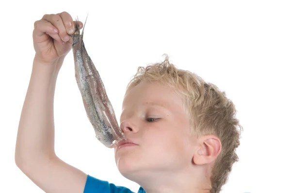 Comer um arenque à maneira holandesa — Fotografia de Stock