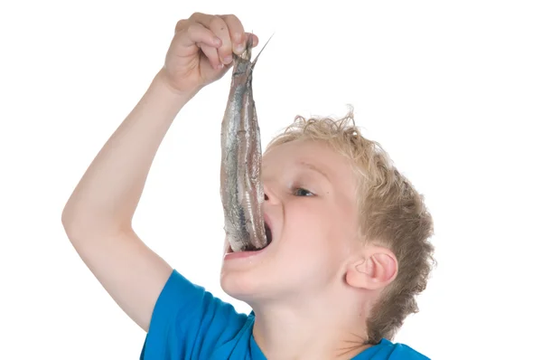 Comer um arenque à maneira holandesa — Fotografia de Stock