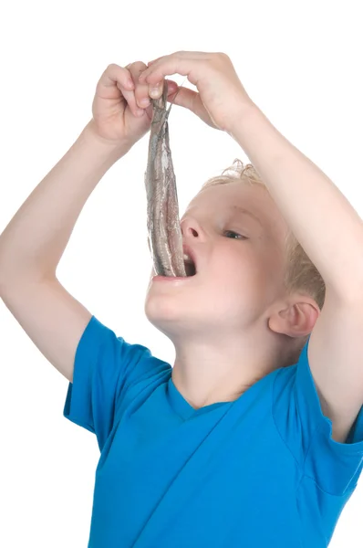 Eating a herring the Dutch way — Stock Photo, Image