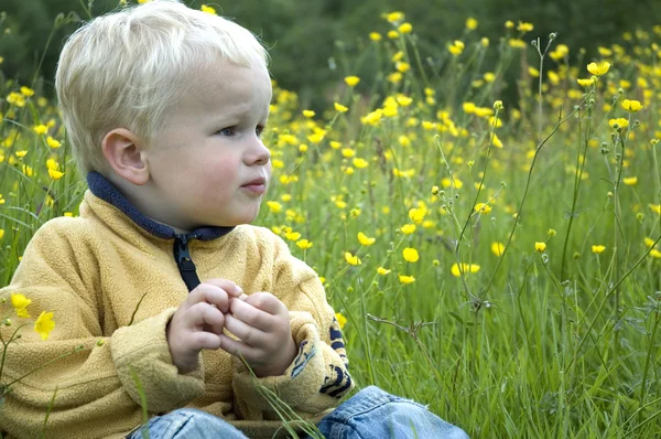 Petit garçon entre herbe et fleurs — Photo