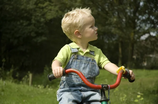 Kleine jongen op fiets — Stockfoto
