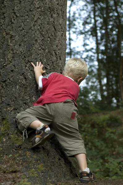 Petit garçon derrière un arbre — Photo