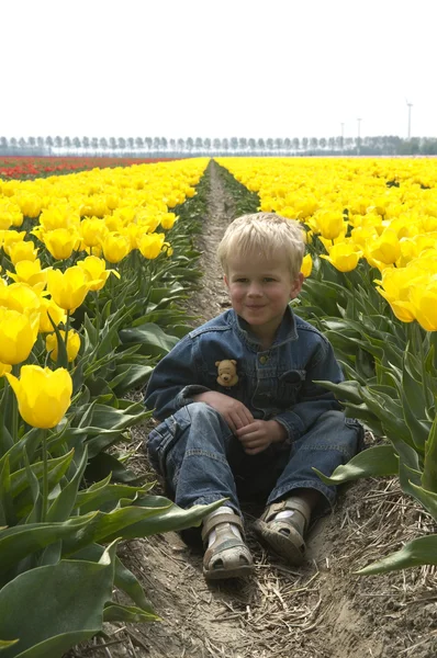 Chlapec mezi tulipány — Stock fotografie