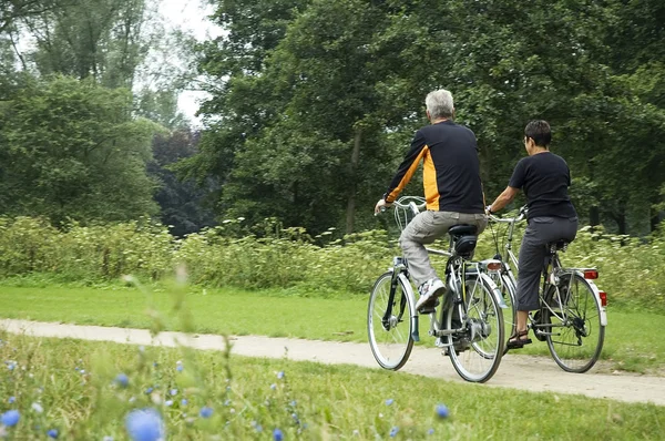 Велосипедні літні люди в парку — стокове фото