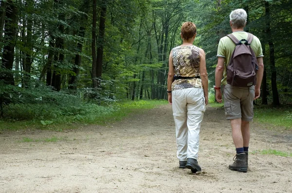 Escursioni di coppia anziani — Foto Stock
