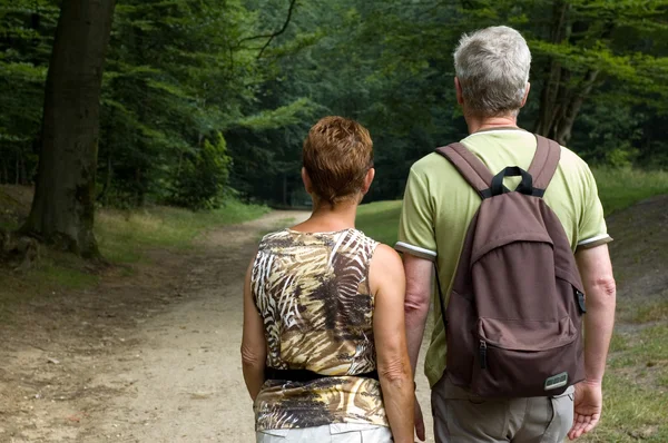 Senior couple hiking -1 — Stock Photo, Image
