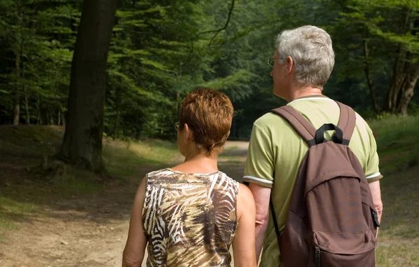 Senior couple hiking -2 — Stock Photo, Image