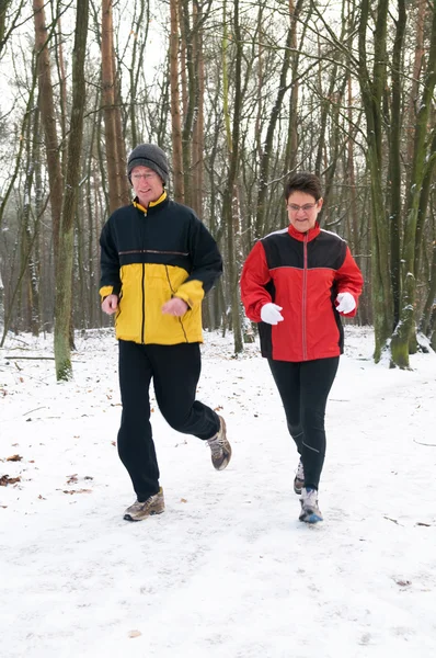 Löpning i snön — Stockfoto