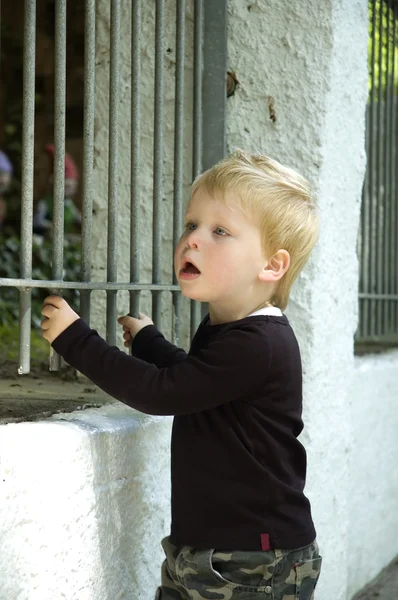小さな男の子を見て驚いています。 — ストック写真