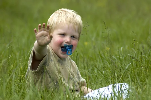 草丛中的小男孩 — 图库照片