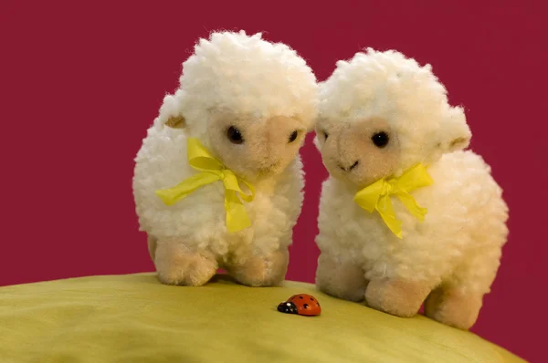 2 ovejas mirando a un mariquita — Foto de Stock
