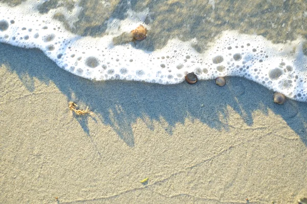 Drawing water on a beach — Stock Photo, Image
