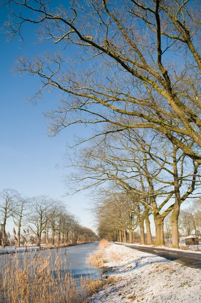 Vintern natursköna — Stockfoto