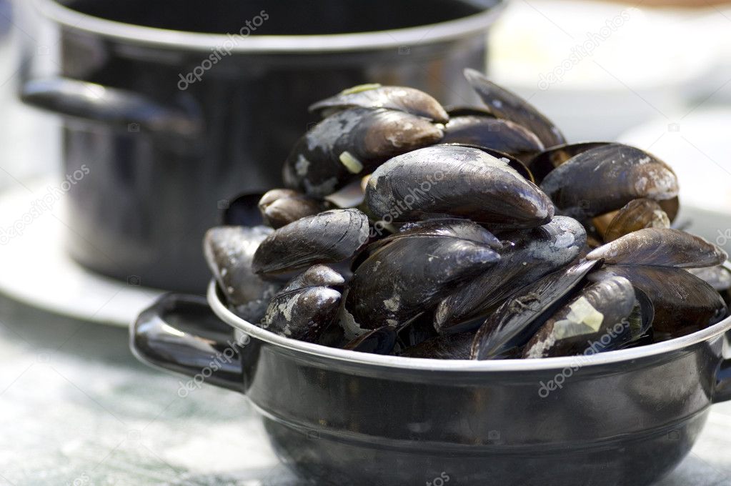Dutch Mussels