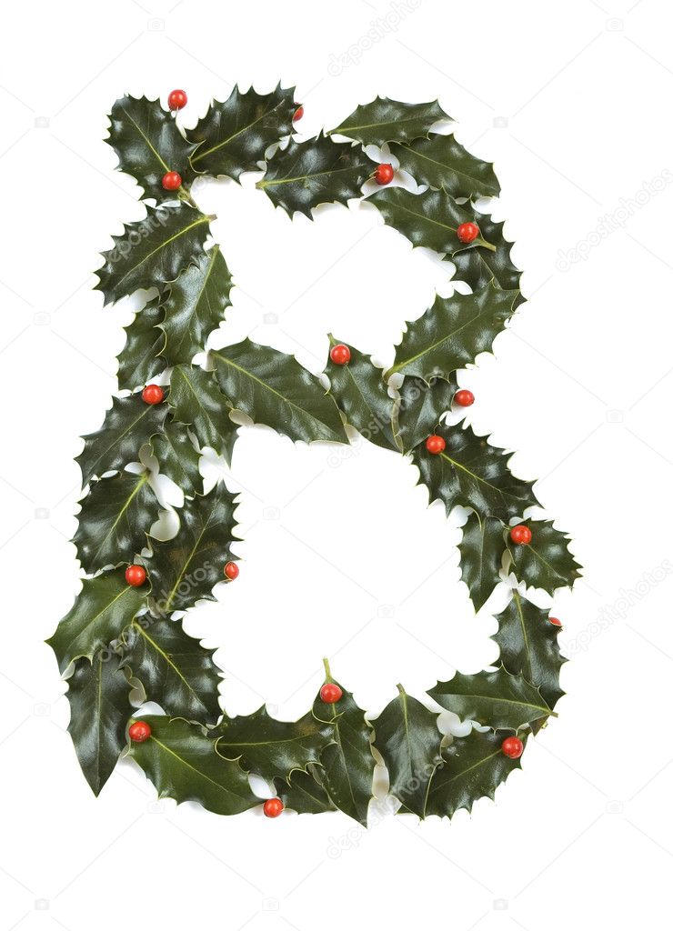 Holly With Berry Letter B