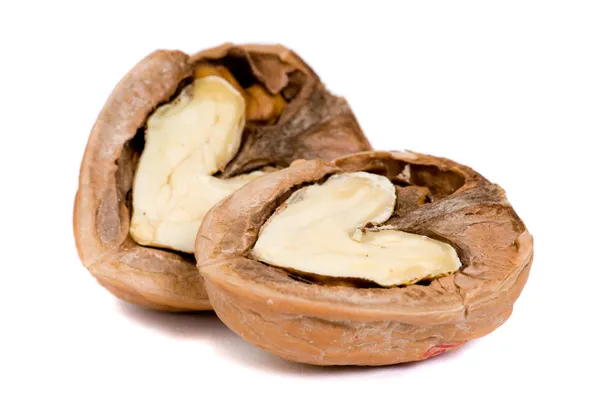 Vlašské ořechy v lásce — Stock fotografie