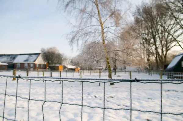 冷ややかなフェンス — ストック写真