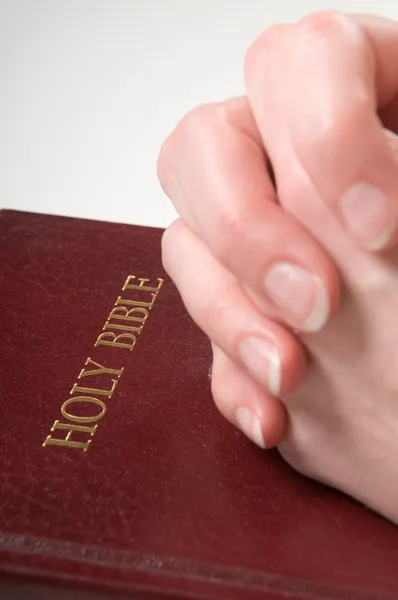 Modlila se rukou o Bibli — Stock fotografie