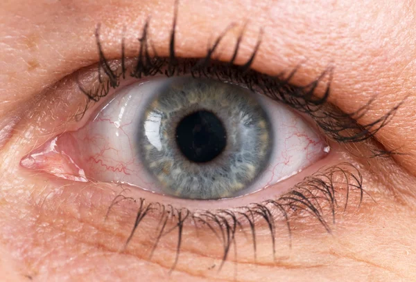 stock image Closeup of an eye
