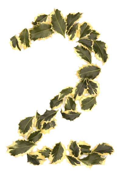 Holly Number Two — Stock Photo, Image