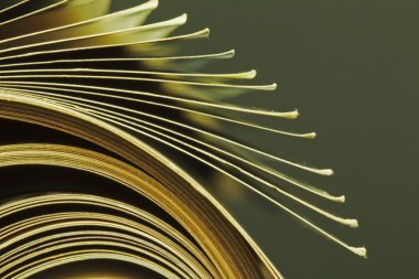 Makro ayrıntılı dergisi