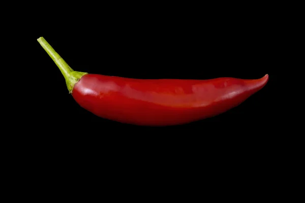 Červená paprika na černém pozadí — Stock fotografie