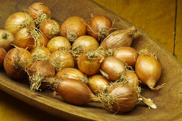 Collection of onions — Stock Photo, Image