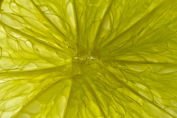 Macro closeup de um limão — Fotografia de Stock