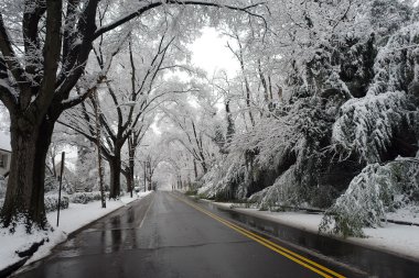 Winter in Washington DC clipart
