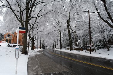 Winter in Washington DC clipart