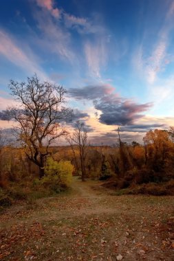 Rock Creek park clipart